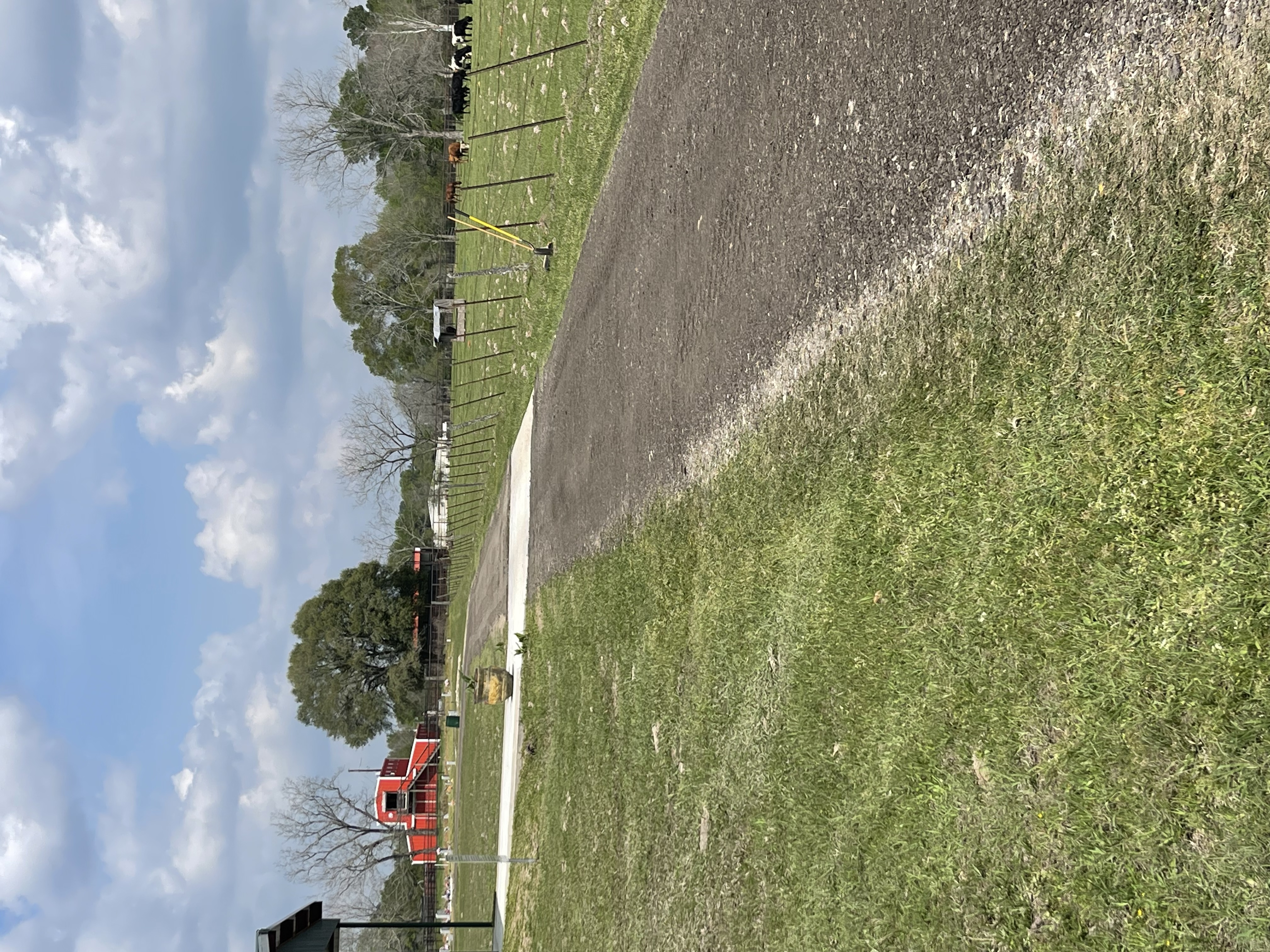 Cemetery